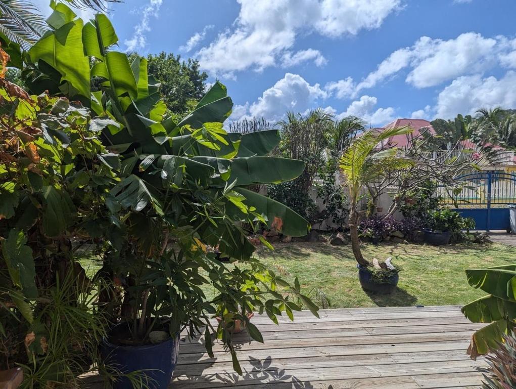 Villa Sur L'Anse Terre-De-Haut Habitación foto